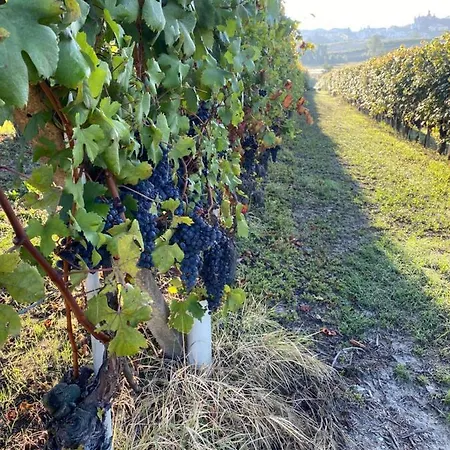 Nelle Langhe דירה